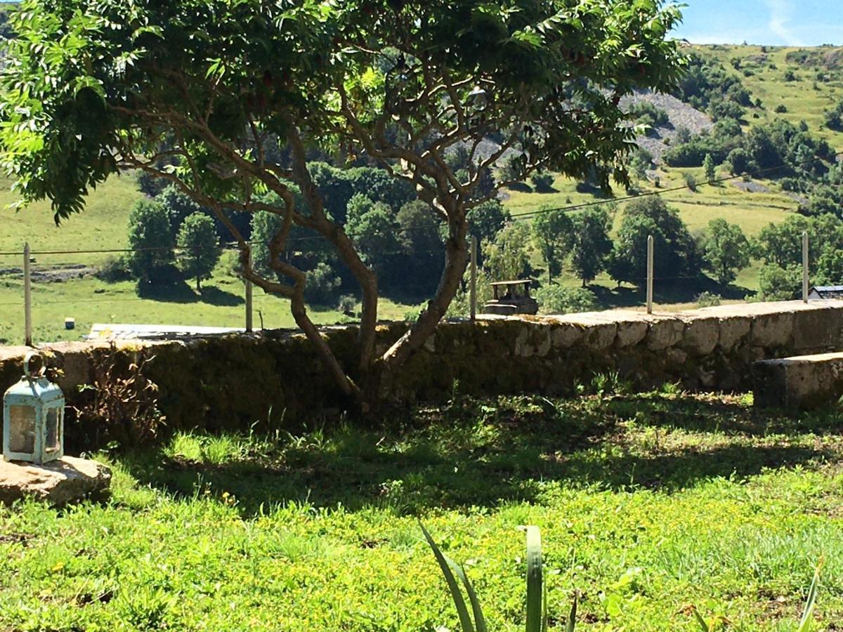 La Cure Grande Maison De Charme De 2 A 14 Personnes Saint-Urcize Exterior foto
